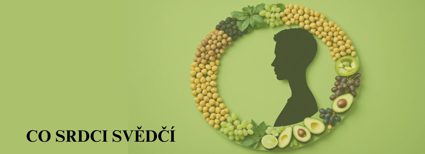 Zdravé srdce